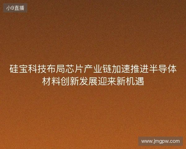 硅宝科技布局芯片产业链加速推进半导体材料创新发展迎来新机遇